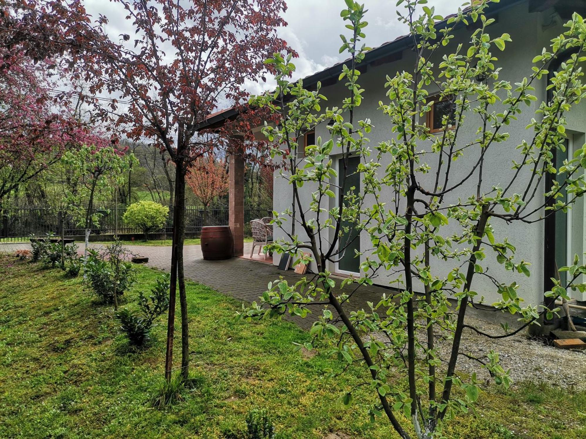 Apartment Quince Gradac *